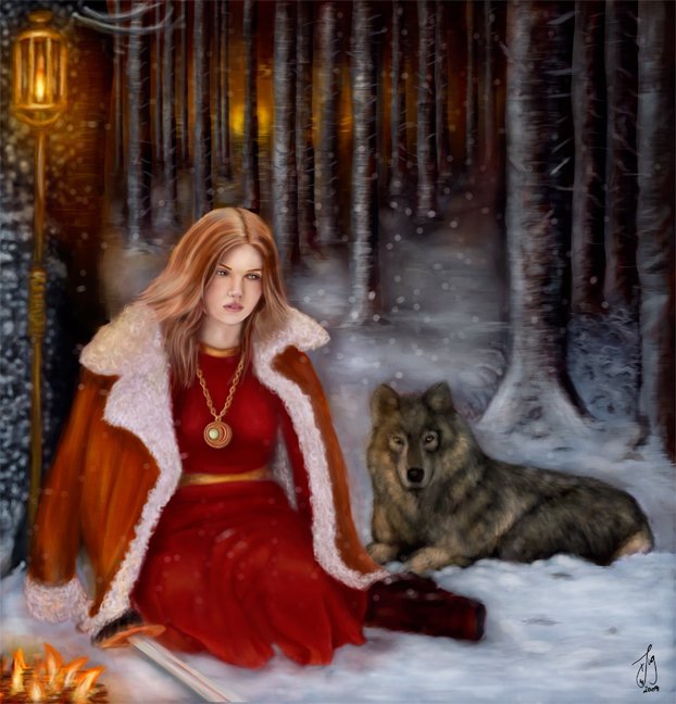 У костра - волк, зима, лес, девушка, фонарь, природа - оригинал