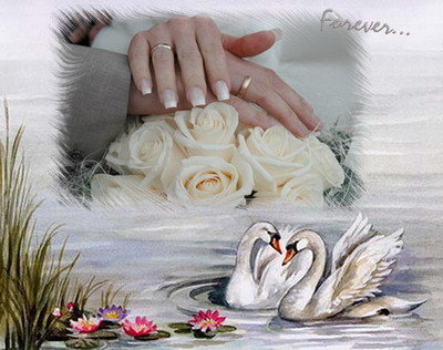 Свадебный подарок - лебеди, кольца, свадьба - оригинал