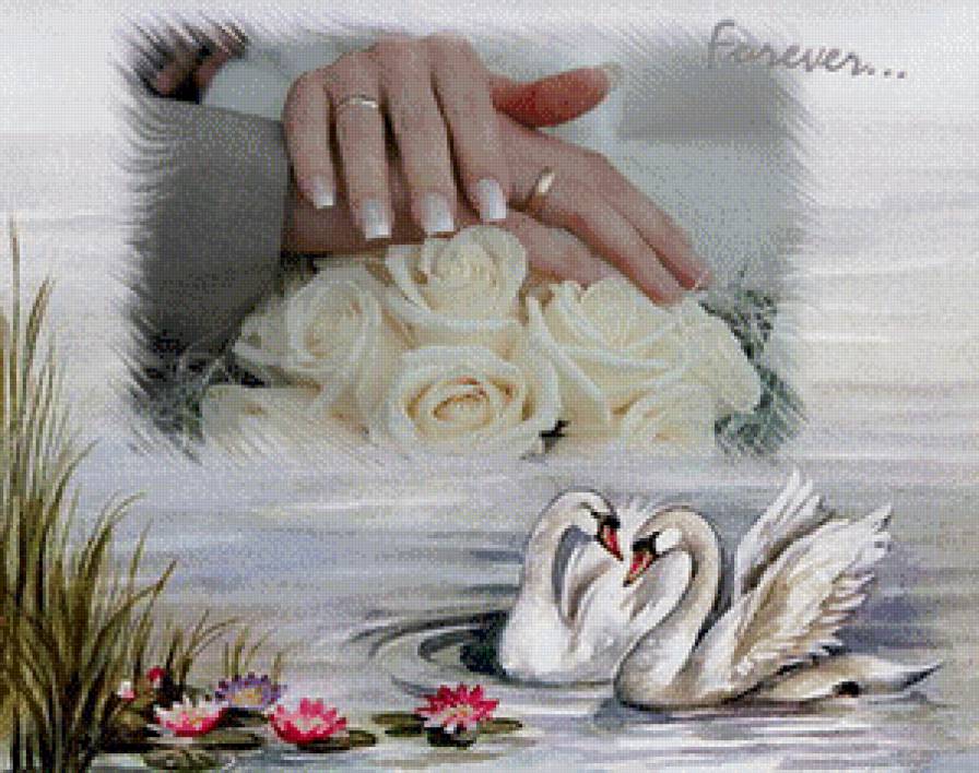 Свадебный подарок - лебеди, свадьба, кольца - предпросмотр