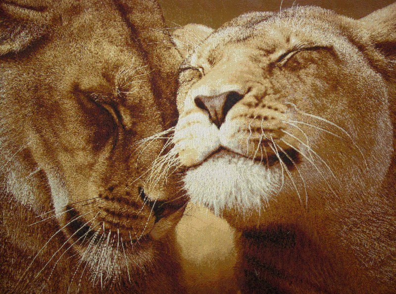 Верность - оригинал