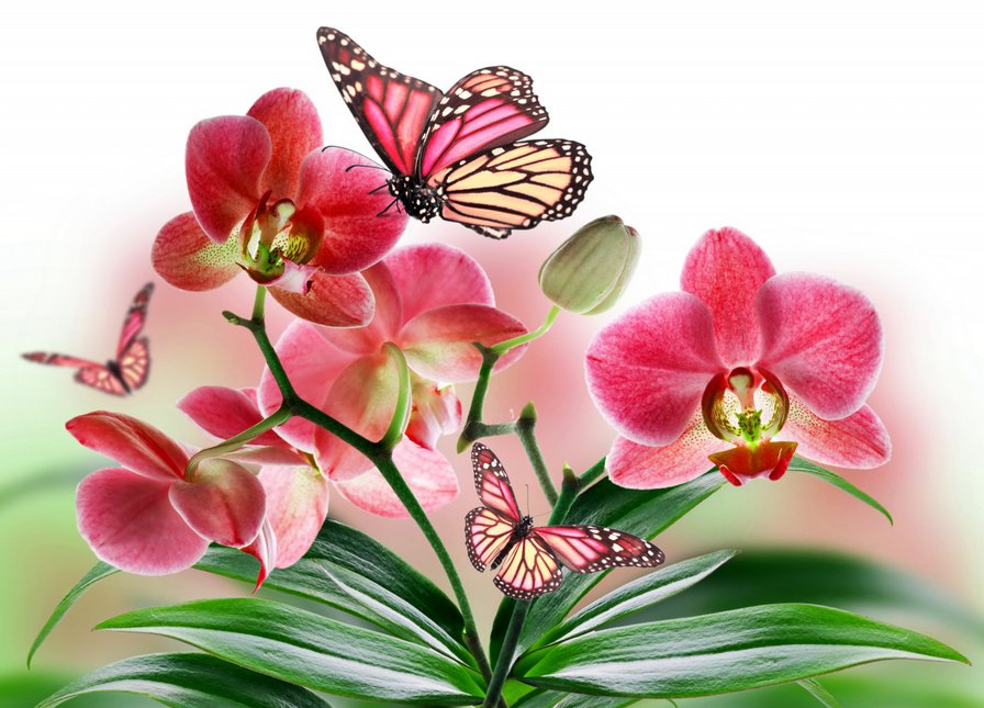Серия "Цветы": Композиция с бабочками - оригинал