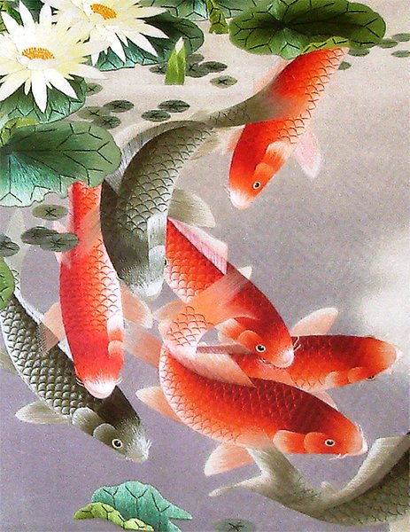 подводный мир - подводный мир, пано, природа, рыбы - оригинал