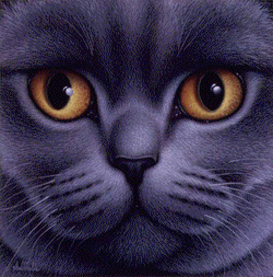 кот - предпросмотр