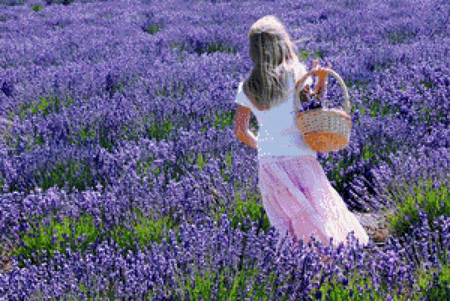 №670424 - предпросмотр