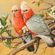 Схема вышивки «№670531»