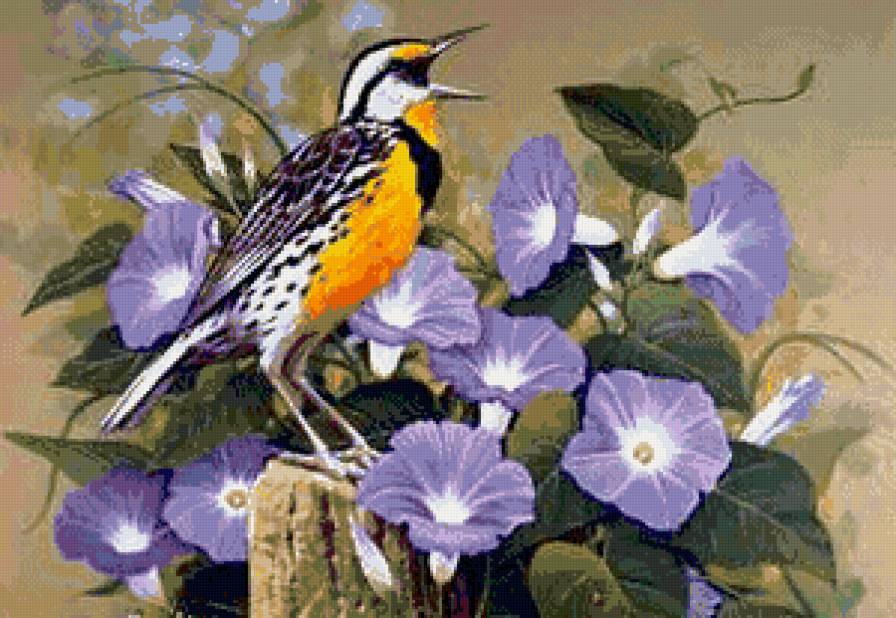пано птица - цветы, природа, птицы, пано - предпросмотр