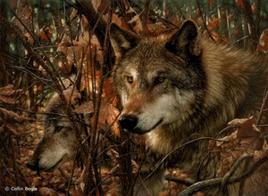 №670597 - предпросмотр