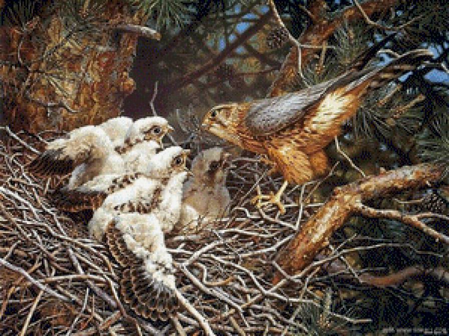 №670608 - предпросмотр