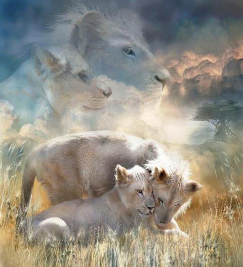 №670627 - оригинал