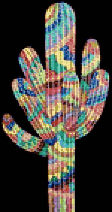 Cactus Chico - cactus - предпросмотр