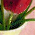 Предпросмотр схемы вышивки «серия "тюльпаны"» (№670793)