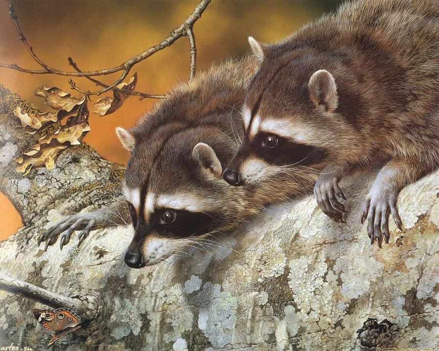 №670853 - животные - оригинал