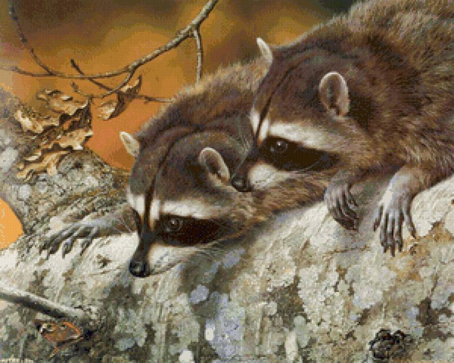 №670853 - животные - предпросмотр