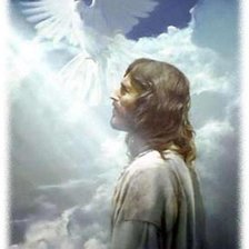 Схема вышивки «Иисус и птица»