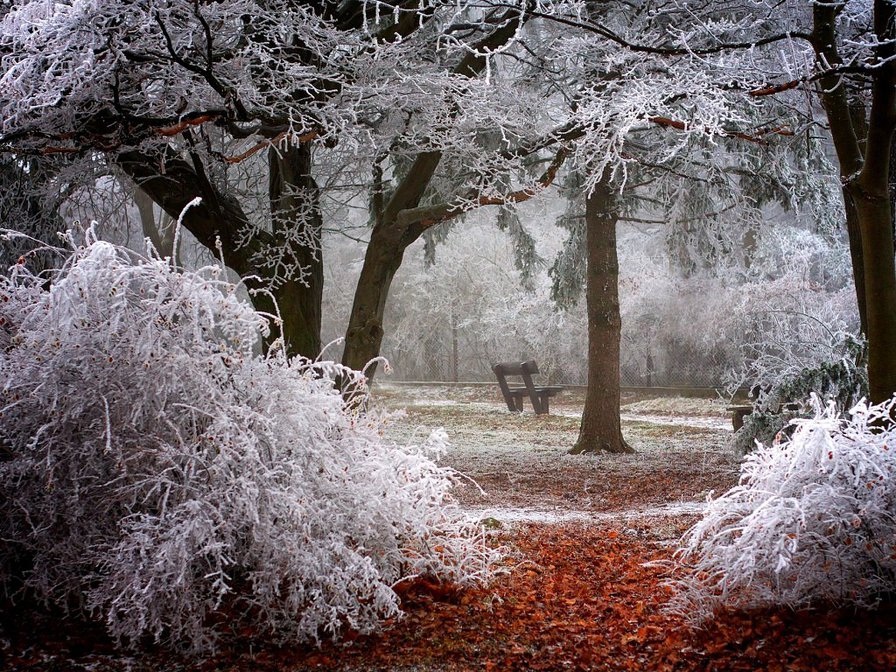 лес - оригинал