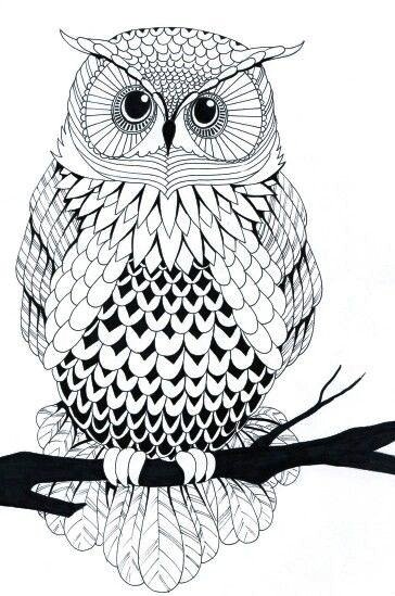 сова3 - птицы - оригинал