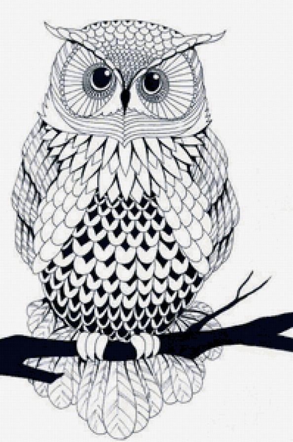 сова3 - птицы - предпросмотр