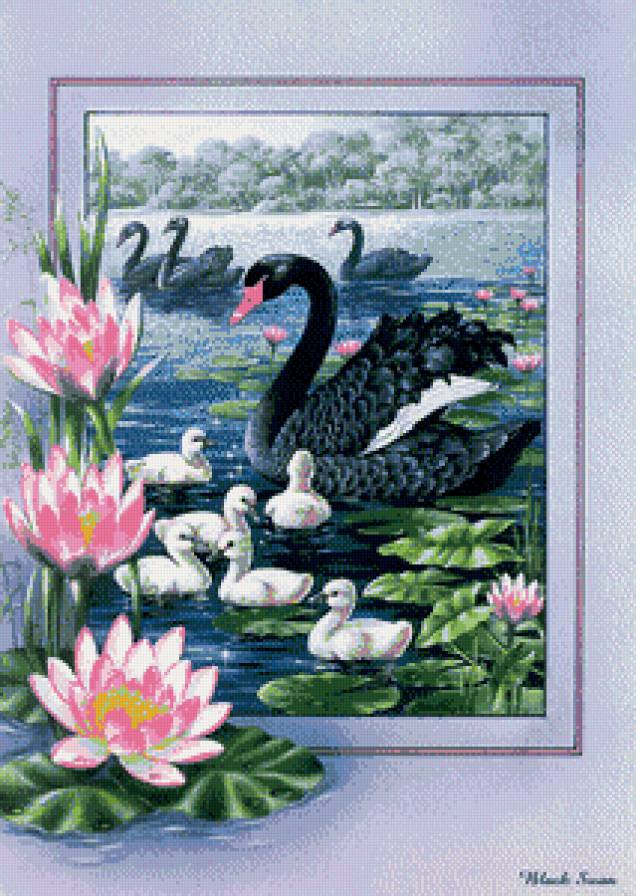 №671149 - лебеди - предпросмотр