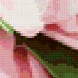 Предпросмотр схемы вышивки «тюльпаны» (№671274)