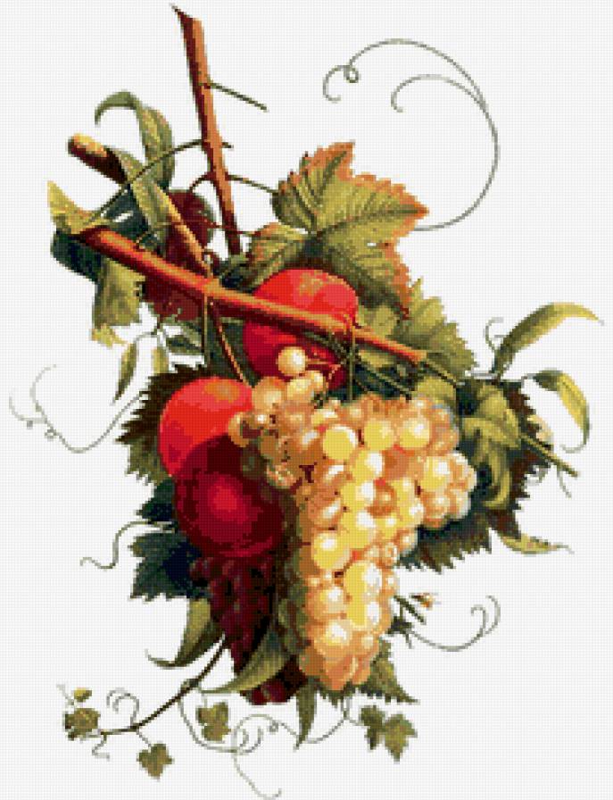 пано виноград - листья, виноград, натюрморт, фрукты, пано, ягоды - предпросмотр
