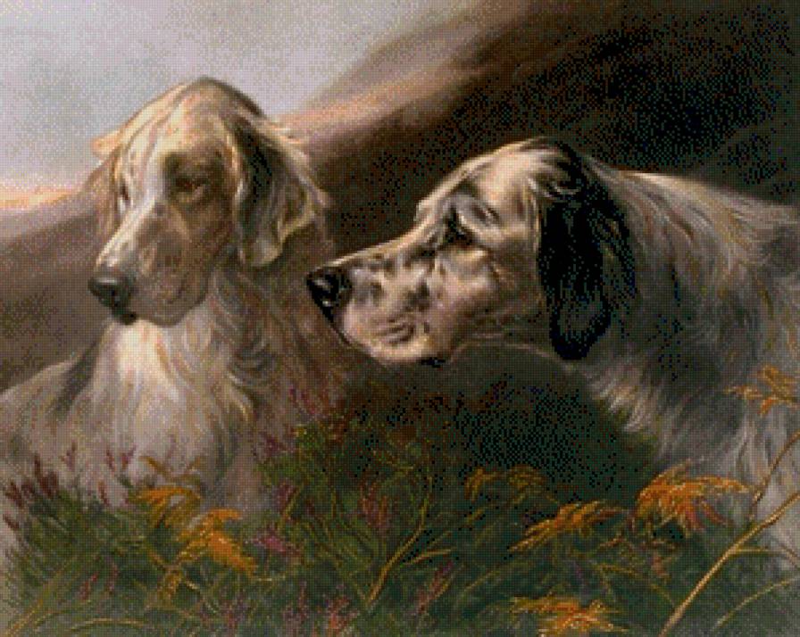 собаки - животные, собаки - предпросмотр