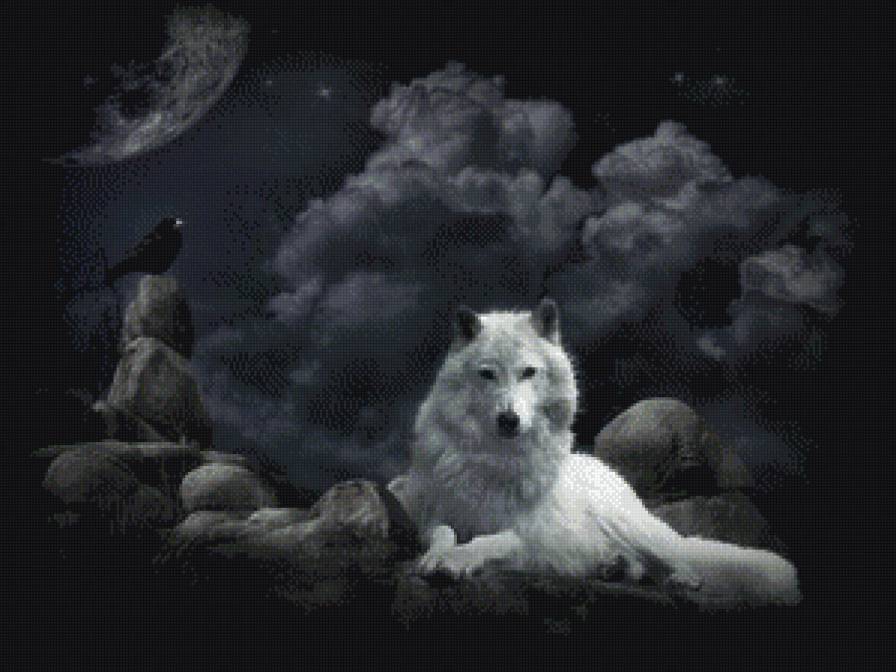 белый волк - волки - предпросмотр