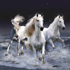 Оригинал схемы вышивки «белые кони» (№671448)