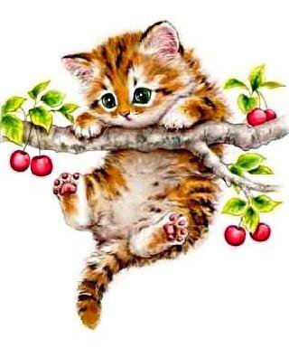 Путешественник - природа, ветка, животные, кот, котенок, вишня - оригинал