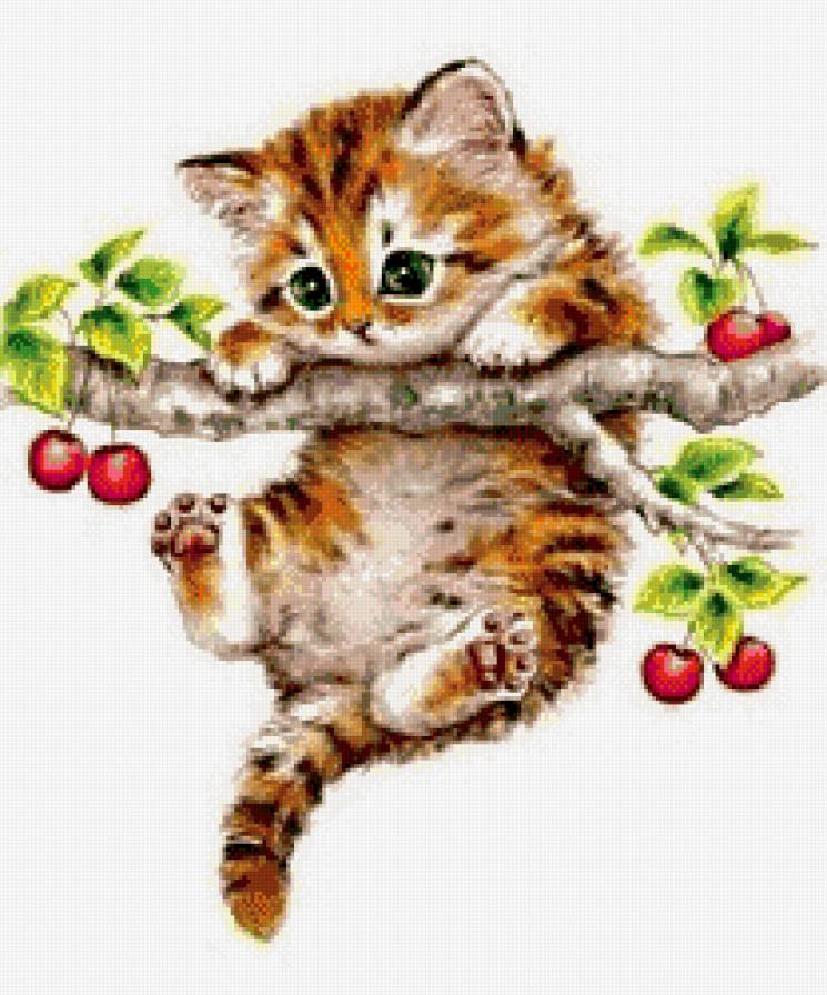 Путешественник - кот, вишня, ветка, природа, котенок, животные - предпросмотр