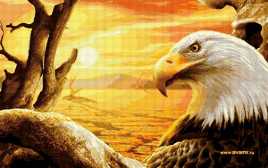 №671712 - птицы, животные - предпросмотр