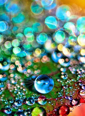 Капли - оригинал