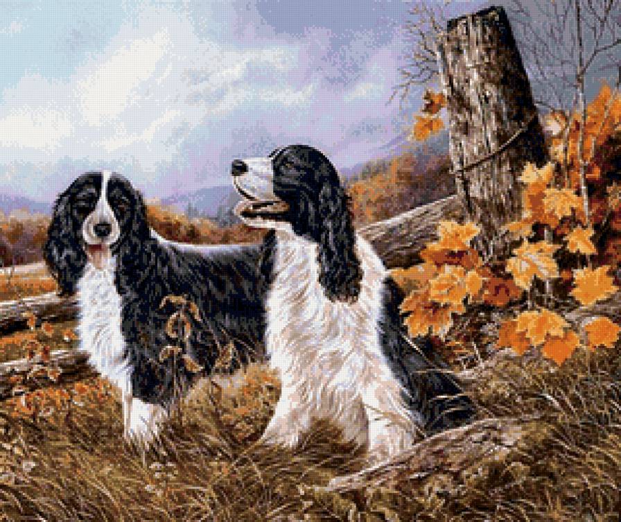 две собаки - листья, пейзаж, животные, собаки, осень - предпросмотр