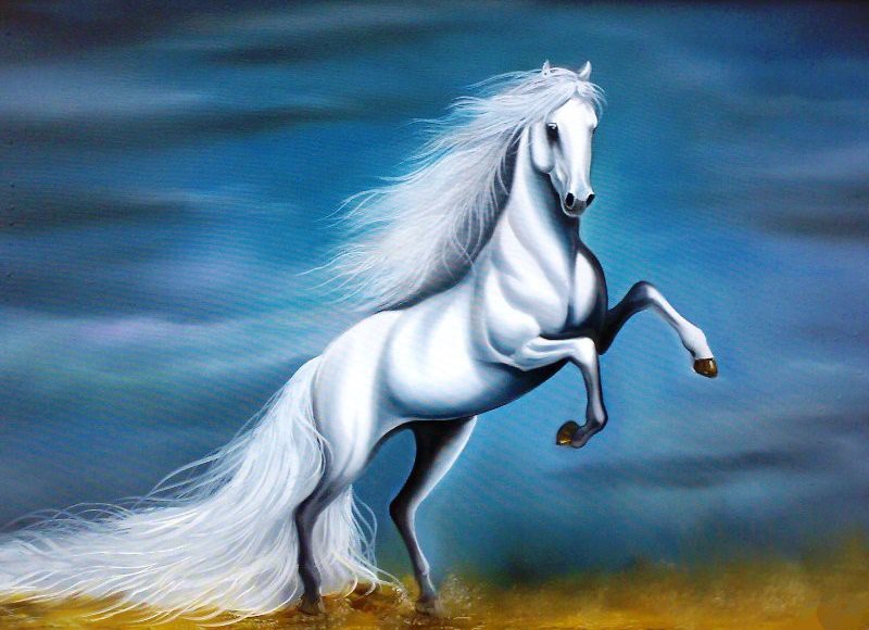 ГОД СИНЕЙ ЛОШАДИ - скакун, картина, животное, небо, лошадь, конь - оригинал