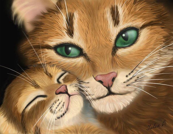Материнская любовь - кот, кошка, животные, котенок, любовь - оригинал