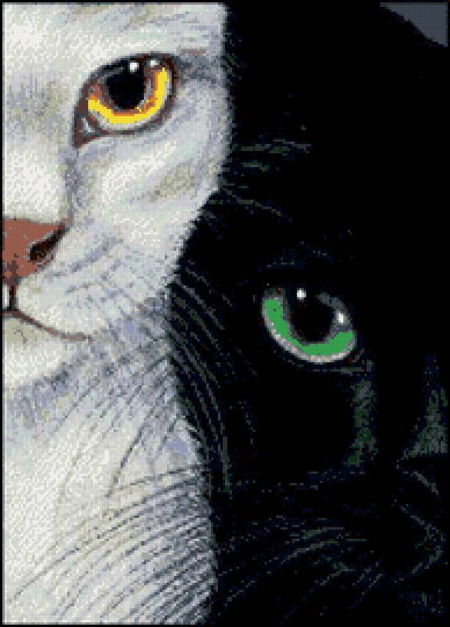 черное и белое - пано, природа, кошки, животные - предпросмотр