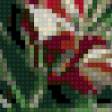 Предпросмотр схемы вышивки «Тюльпаны (Pieter Wagemans)» (№672363)