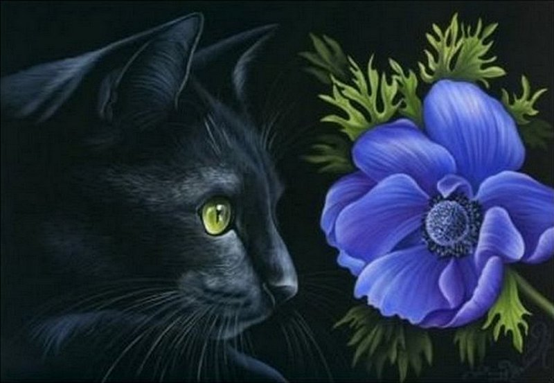 черный кот - оригинал