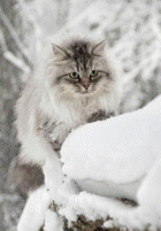 Кошечка - предпросмотр