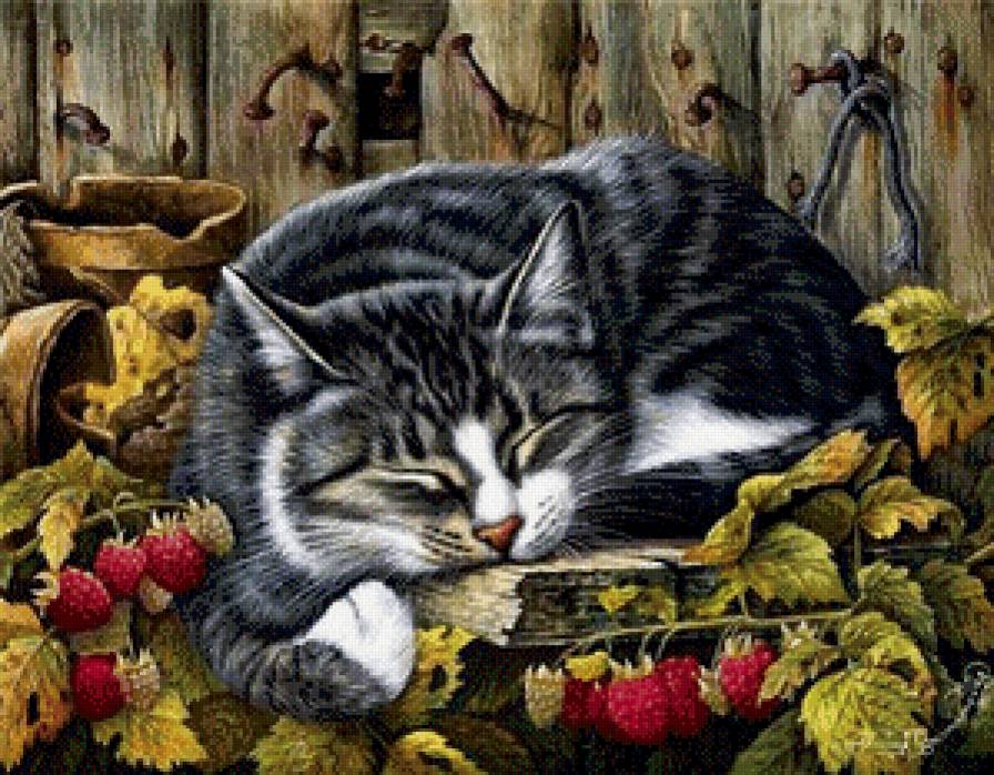 Спящий кот в малине - предпросмотр