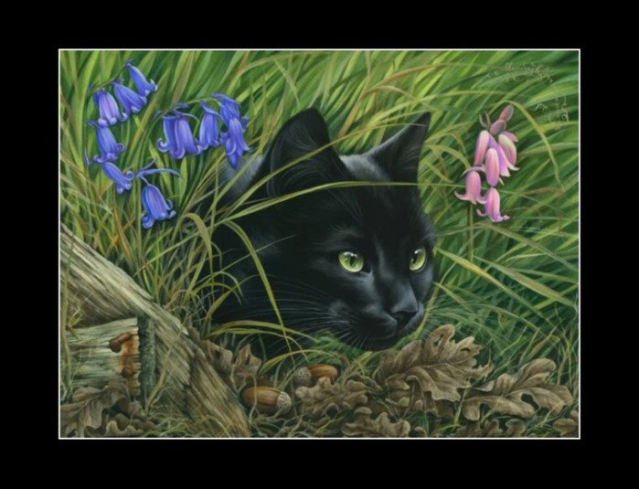 Кот в травке - оригинал