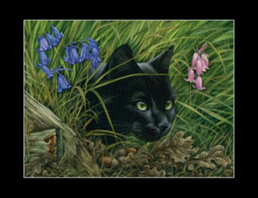 Кот в травке - предпросмотр