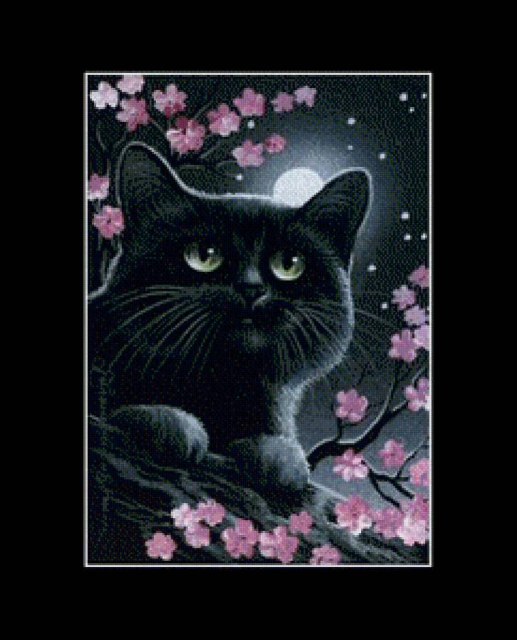 Черный кот - предпросмотр