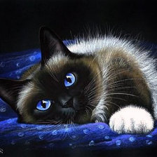 Схема вышивки «кот»