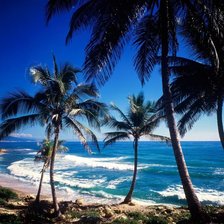 Схема вышивки «Рай»