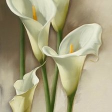 Схема вышивки «№672831»