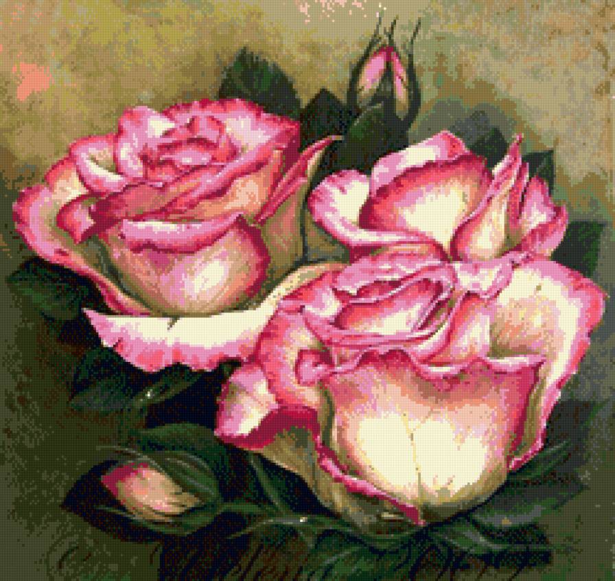 пано розы - цветы, пано, розы, картина - предпросмотр