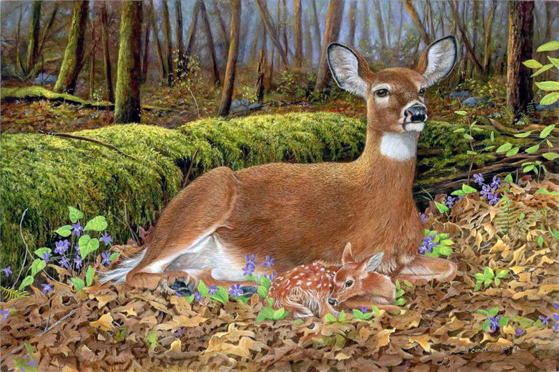 Лесные обитатели 2 - лес, олени - оригинал