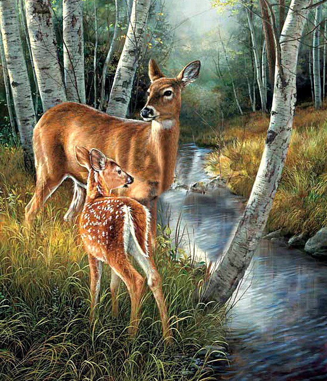 №673168 - оригинал