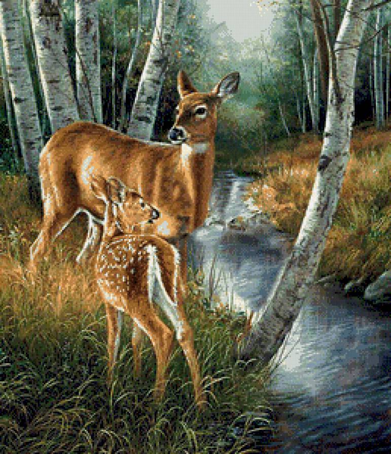 №673168 - предпросмотр