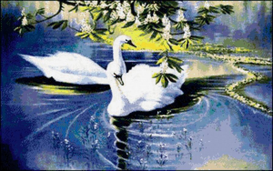 пара лебедей - пейзаж, водоем, птицы, природа, лебеди, цветы - предпросмотр